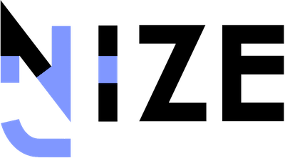 Nize Systems Logo